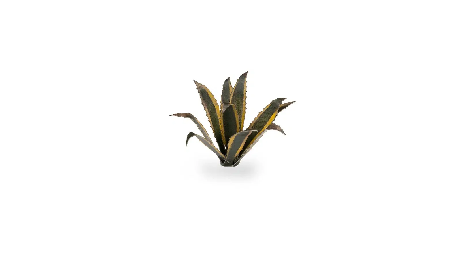 Laser Plants - Agave - Image 2