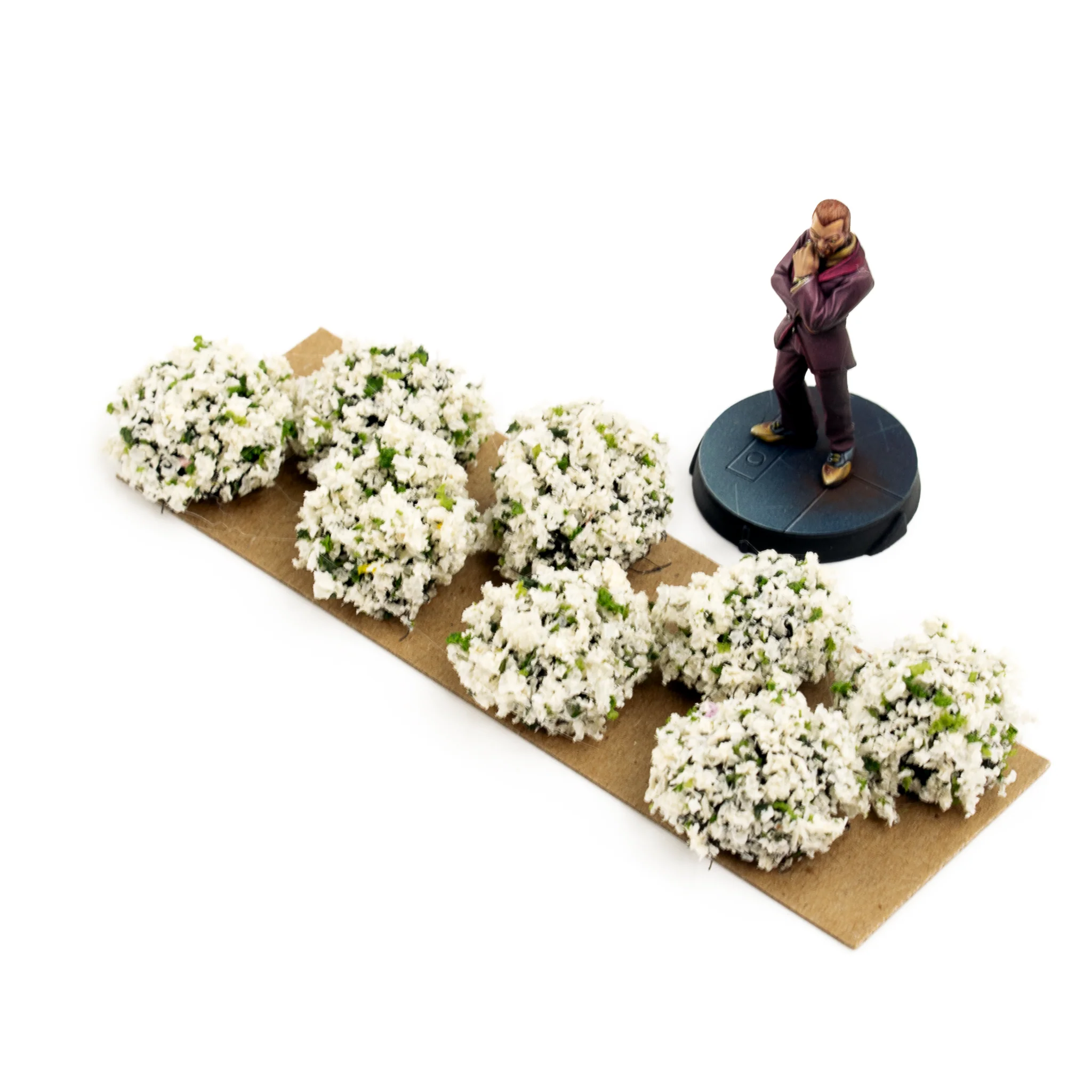Border Plants - Image 6