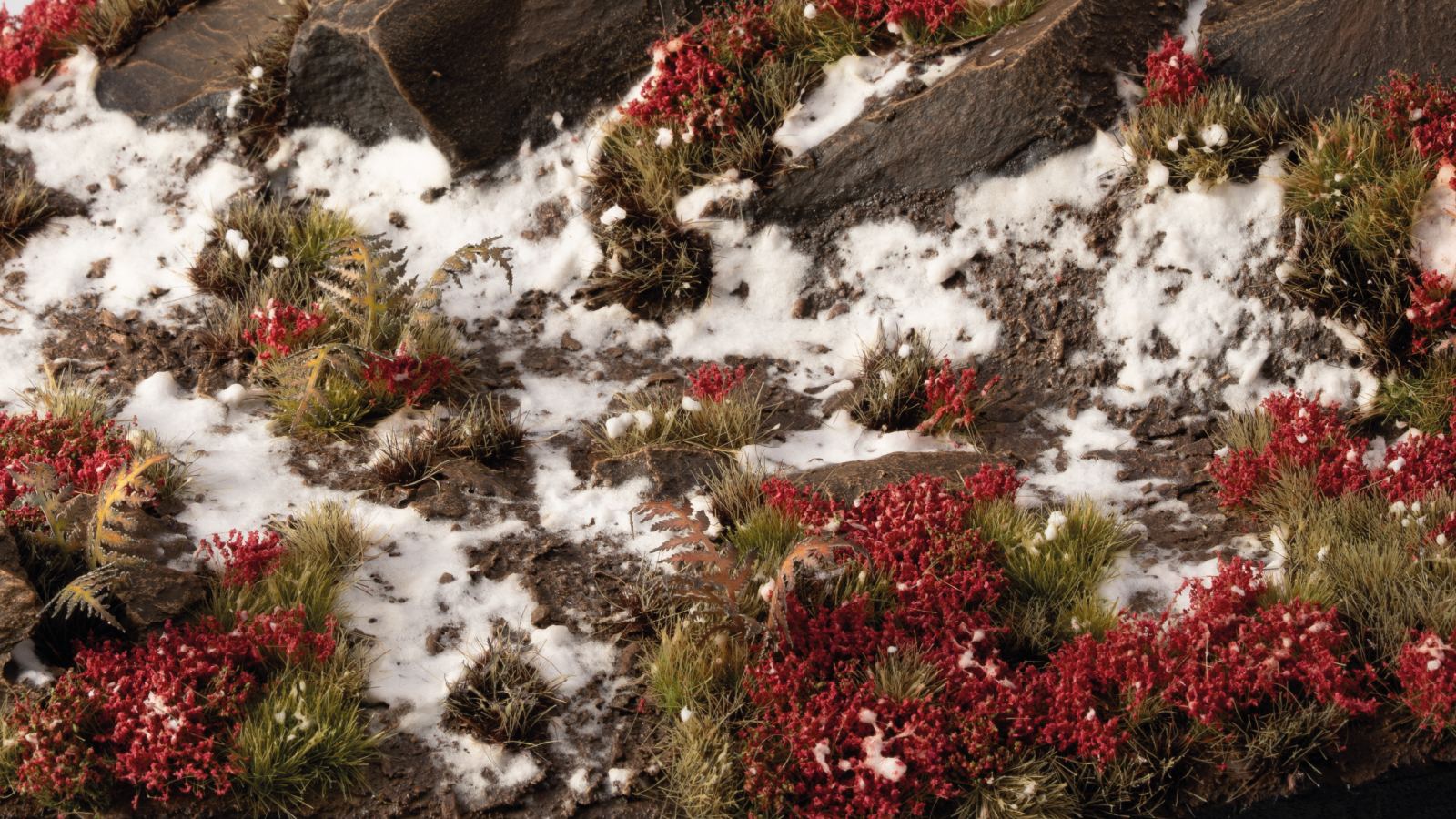 Laliguras Flowers - Image 3