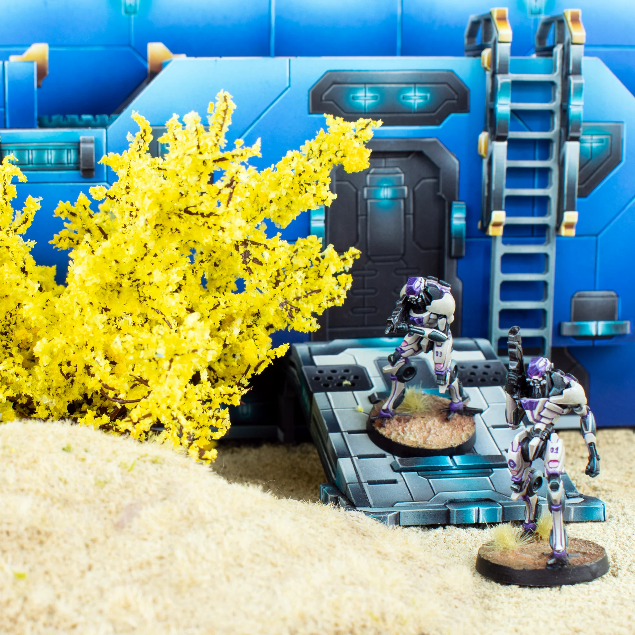 Forsythia Bush (large) - Image 2